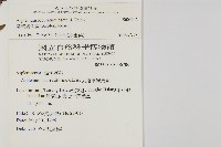 裂葉鐵角蕨藏品圖，第2張