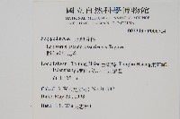 擬芨瓦葦藏品圖，第2張