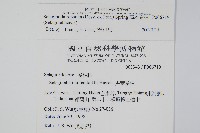 高雄卷柏藏品圖，第2張