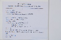 臺灣耳蕨藏品圖，第2張