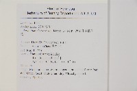 薄葉孔雀鐵角蕨、邊孢鐵角蕨藏品圖，第1張