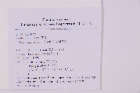 剪葉鐵角蕨藏品圖，第2張