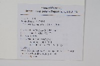 槲蕨藏品圖，第2張