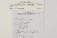 骨碎補鐵角蕨藏品圖，第2張