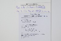 城戶氏鳳尾蕨藏品圖，第2張