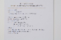 圓葉陵齒蕨藏品圖，第2張