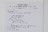 全緣卷柏藏品圖，第2張