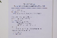 虎克氏鱗蓋蕨藏品圖，第2張