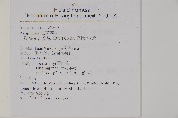 葛氏三叉蕨藏品圖，第2張