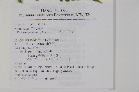 葛氏三叉蕨藏品圖，第7張