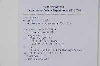 柔葉金星蕨藏品圖，第2張