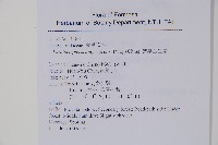 小梯葉副金星蕨藏品圖，第2張