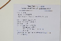 鱗瓦葦、長柄瓦葦藏品圖，第2張