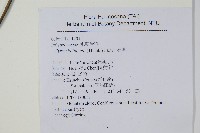 石葦藏品圖，第2張