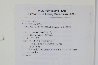 日本金粉蕨藏品圖，第2張