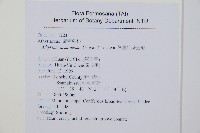 山蹄蓋蕨藏品圖，第2張