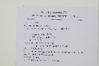 細葉蕗蕨藏品圖，第2張