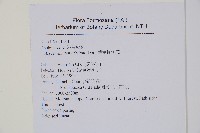 薄葉鐵角蕨藏品圖，第2張