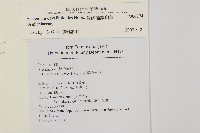 骨碎補鐵角蕨藏品圖，第2張