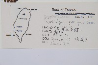 尖葉耳蕨藏品圖，第2張