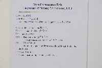 假軸果蹄蓋蕨、毛軸蹄蓋蕨藏品圖，第2張