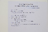 韓氏耳蕨藏品圖，第2張