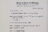 千層塔藏品圖，第2張