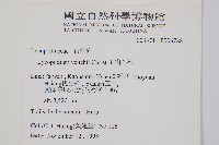 玉山石松藏品圖，第2張