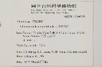 馬來鐵線蕨藏品圖，第5張