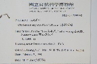 長柄粉背蕨藏品圖，第2張