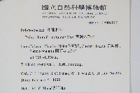 臺灣水龍骨藏品圖，第2張