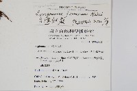 台灣劍蕨藏品圖，第2張