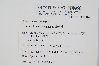 鐵角蕨藏品圖，第2張