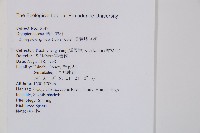 長葉鱗毛蕨藏品圖，第2張