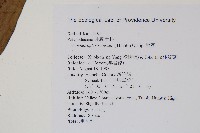 扇蕨藏品圖，第2張