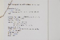 劍葉鐵角蕨、箭葉鐵角蕨藏品圖，第1張