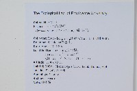 盧山石葦藏品圖，第2張