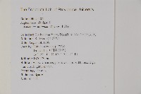 山蘇花藏品圖，第2張