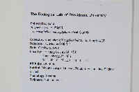 抱樹蕨、伏石蕨藏品圖，第2張