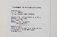 馬來鐵線蕨藏品圖，第2張