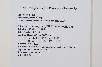 瓶蕨藏品圖，第2張