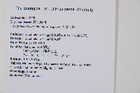 尖葉耳蕨藏品圖，第2張