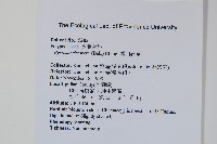 盧山石葦藏品圖，第2張