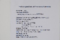 臺灣車前蕨藏品圖，第2張