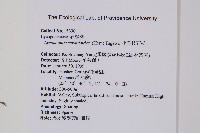 小垂枝石松藏品圖，第2張