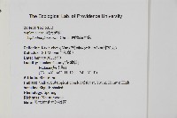 南海鐵角蕨藏品圖，第2張