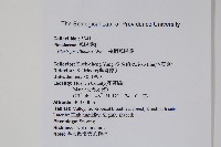 翅柄鳳尾蕨藏品圖，第2張