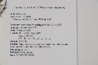 愛德氏肋毛蕨藏品圖，第2張