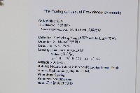 大膜蓋蕨藏品圖，第2張