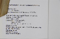 南洋山蘇花藏品圖，第2張